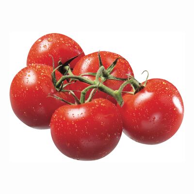 Tomates rouges en vigne