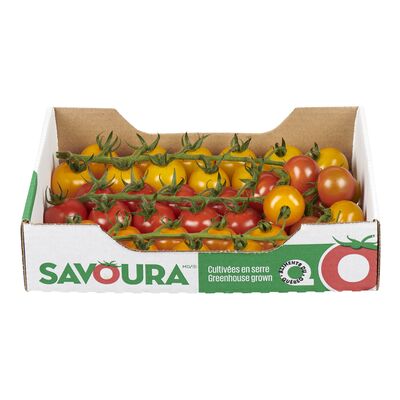 Tomates tomatrio