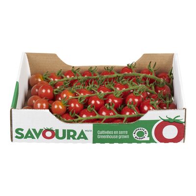 Tomates Cerizo