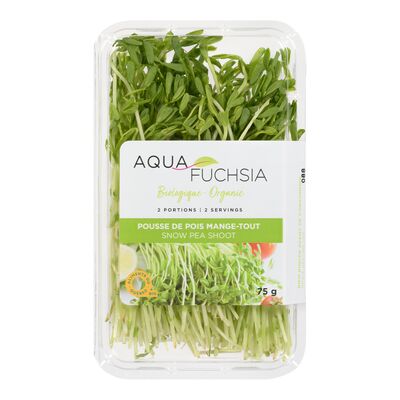 Pousses de pois mange-tout biologiques