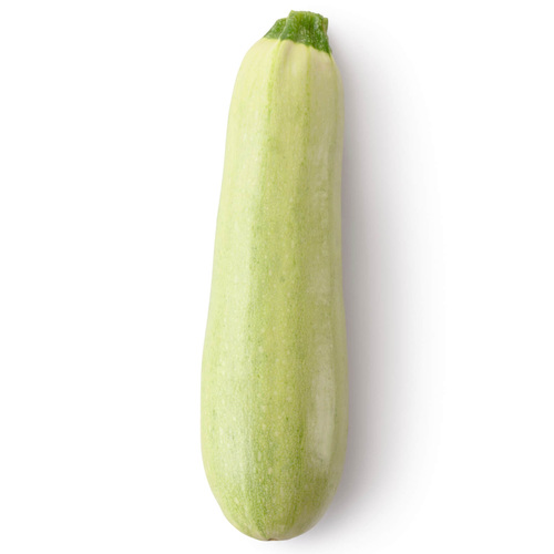 Courge marrow 1 un