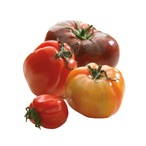 Tomates ancestrales 2 un