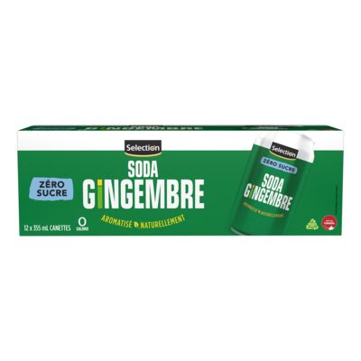 Soda au gingembre zéro sucre