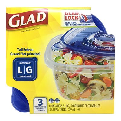 Grand Contenant et couvercle pour aliment