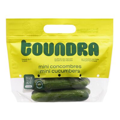 Sac de mini concombres