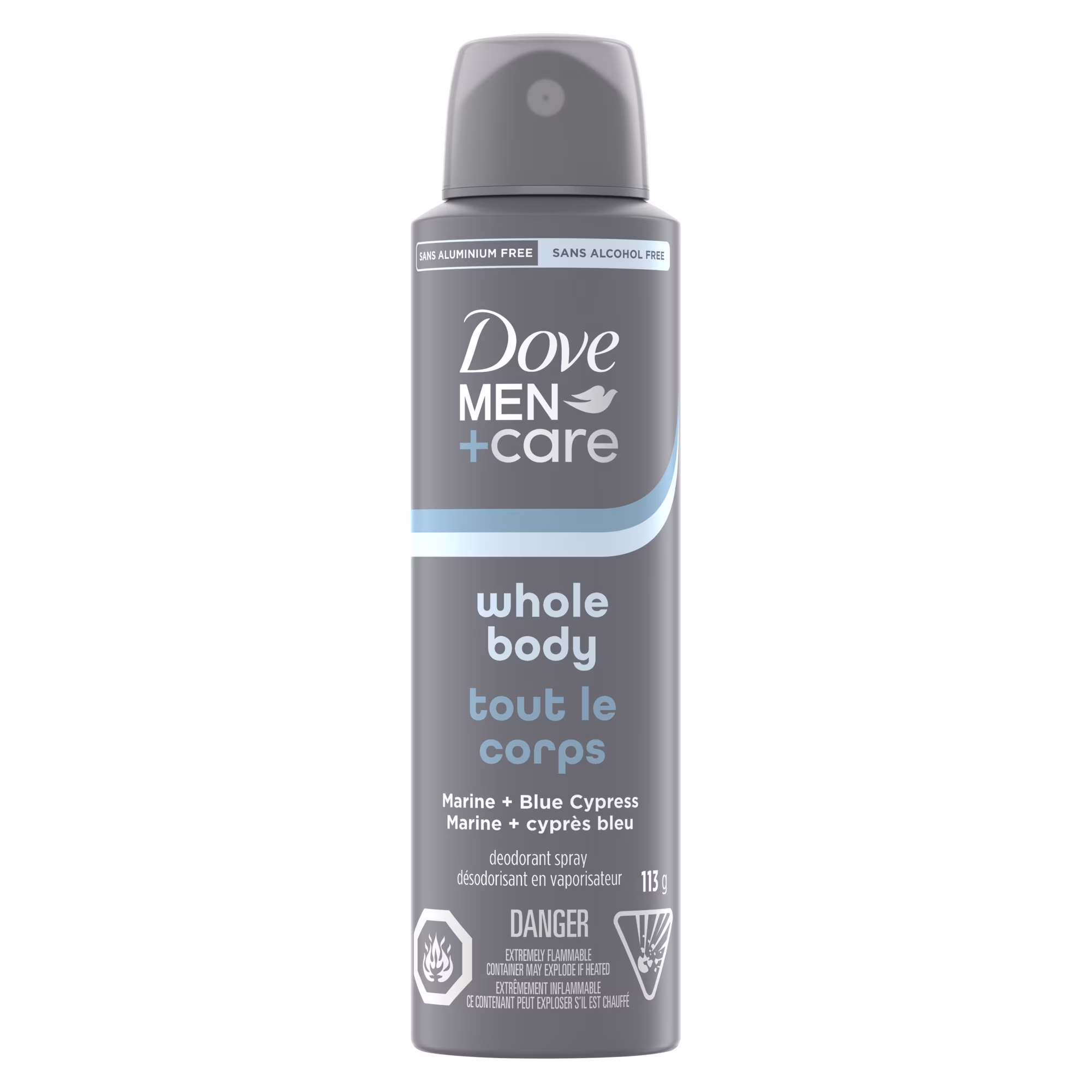 Déodorant dove men+care en spray pour tout le corps. parfum marine et cyprès bleu.