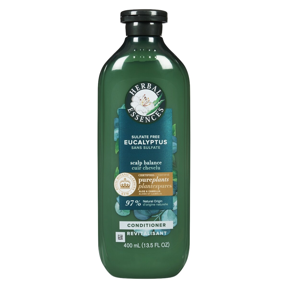 Revitalisant sans sulfate à leucalyptus, cuir chevelu équilibré, avec huile de camélia et aloès certifiés, pour tous les types de cheveux, particulièrement le cuir chevelu sec