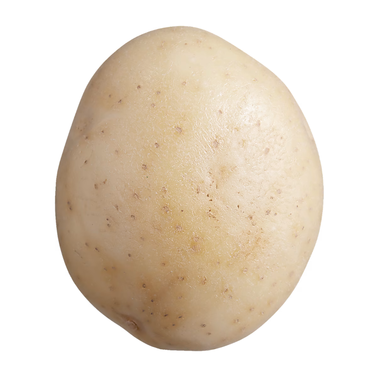 Pommes de terre à chair blanche