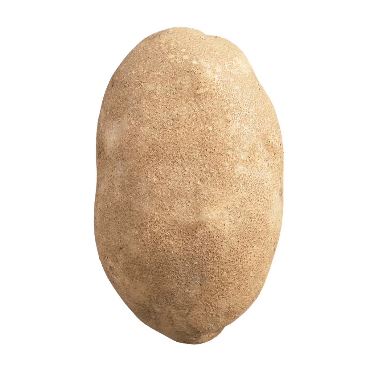 Pomme de terre Russet au four