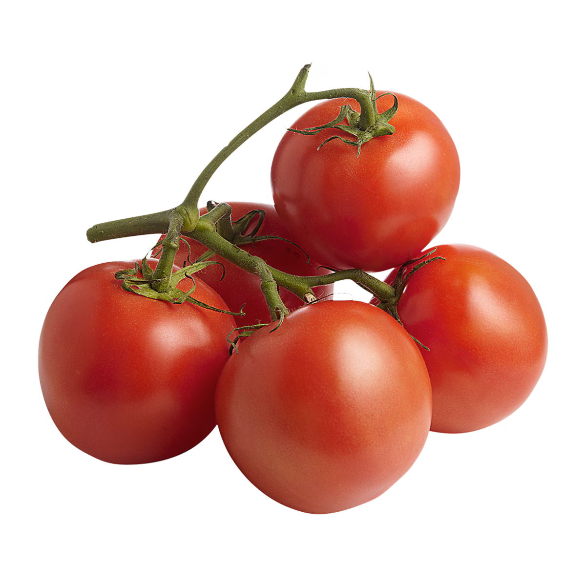 Tomates sur vigne rouge (1 grappe)