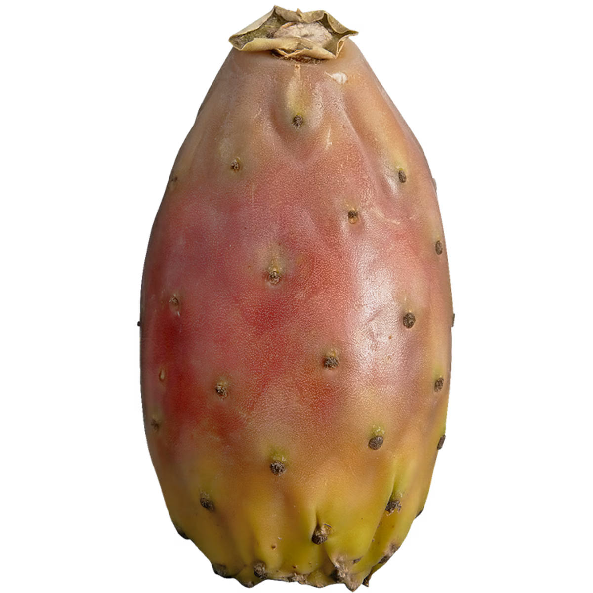 Figues de Barbarie