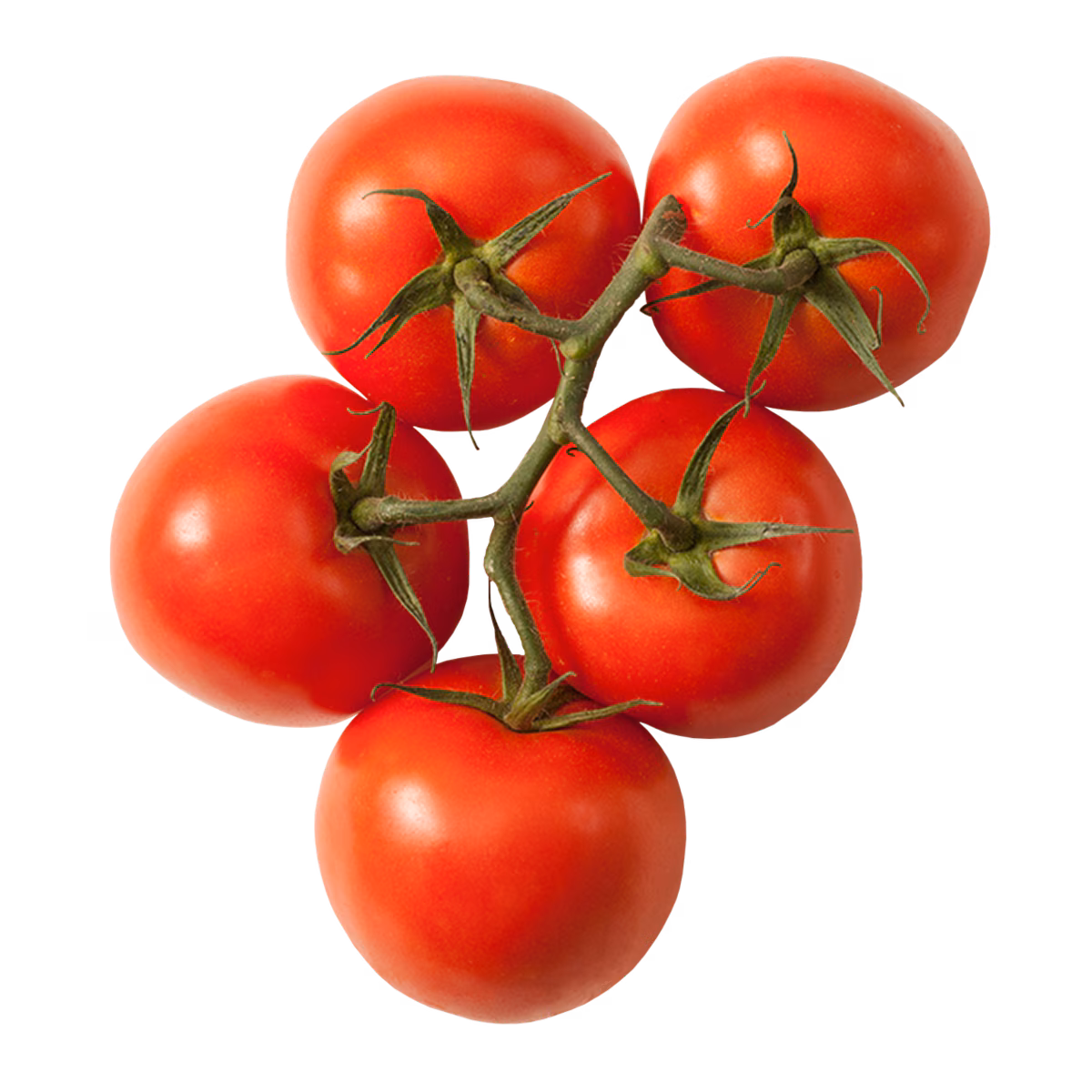 Tomates rouges en grappes