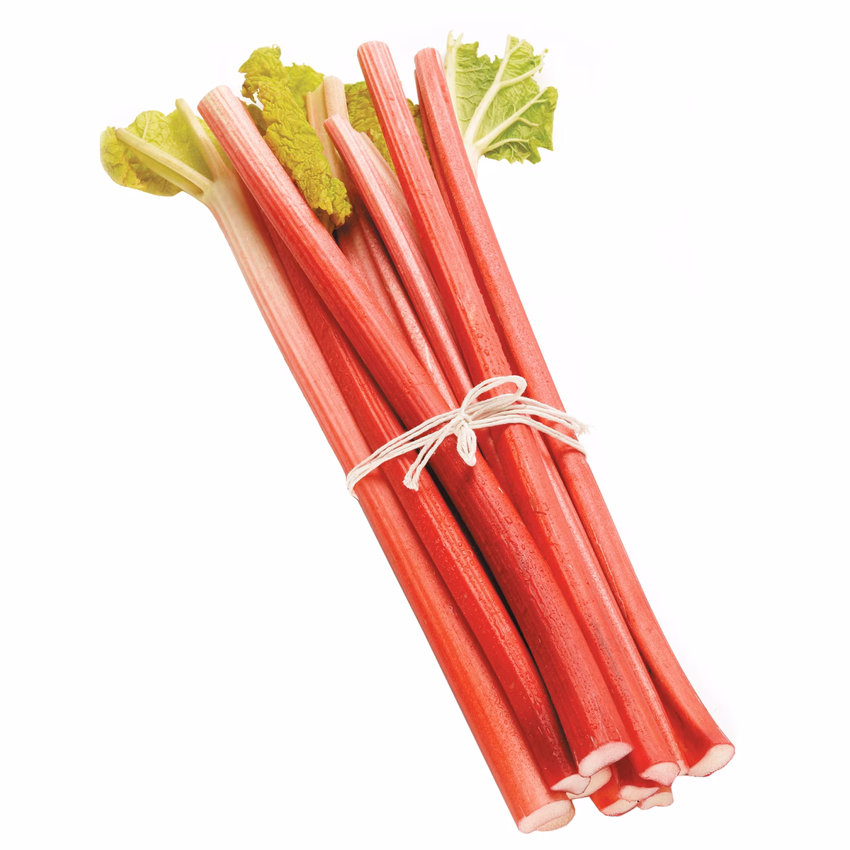 Rhubarbe