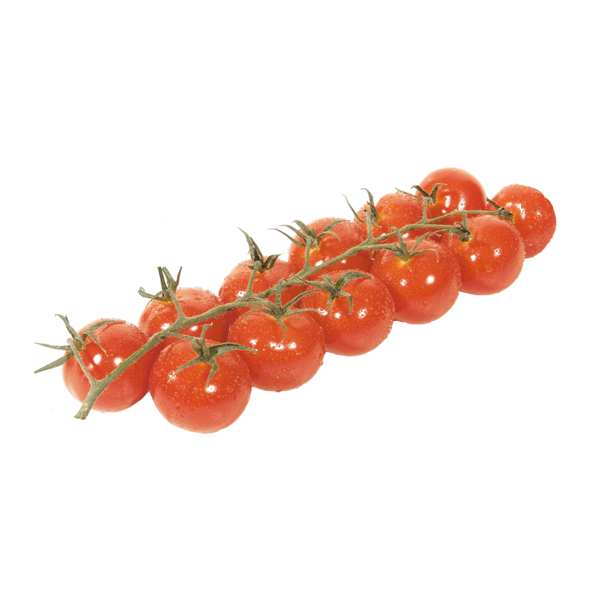 Tomates, Savoura sur vigne