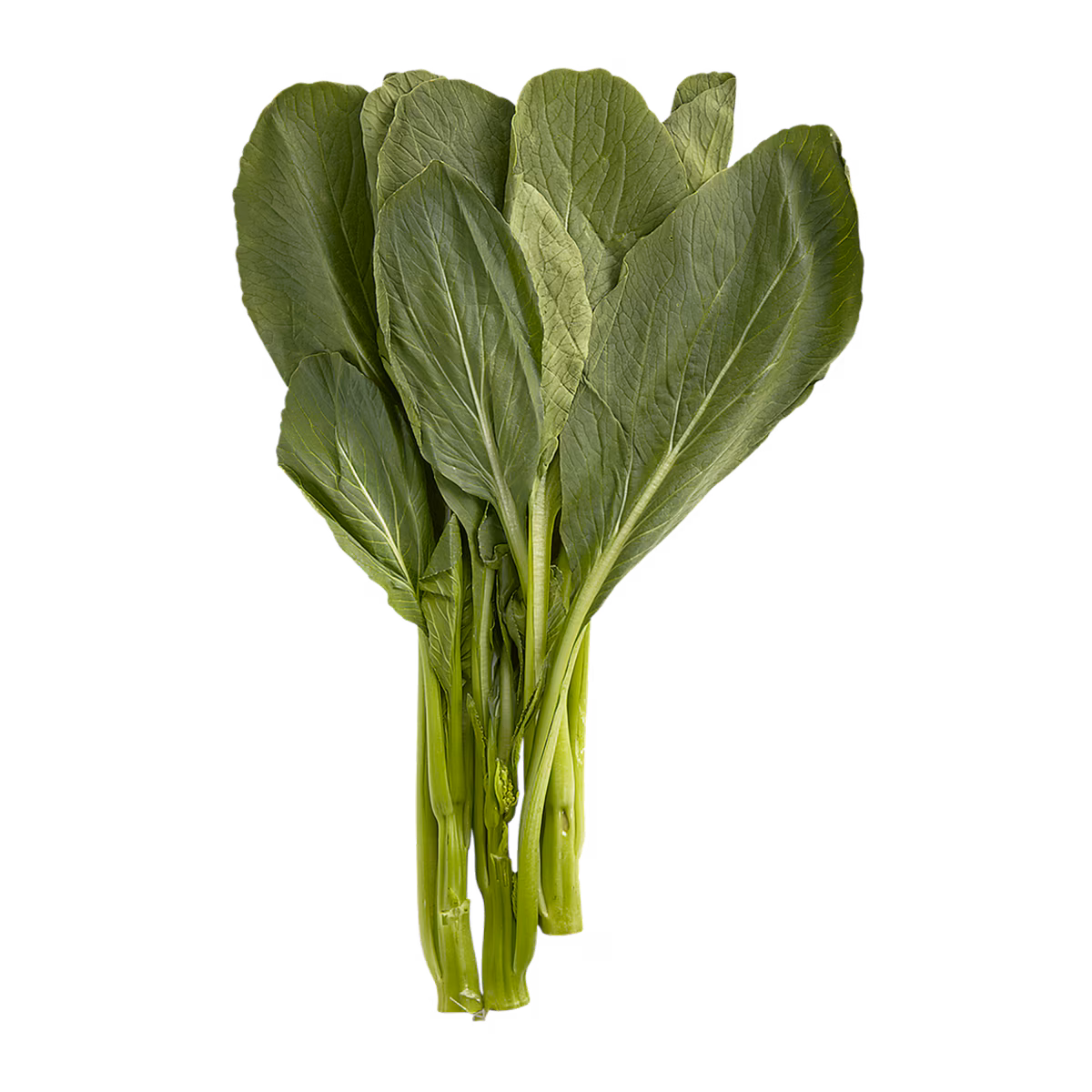 Yu Choy Sum