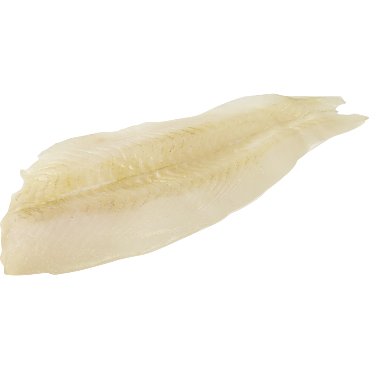 Filet de sole frais