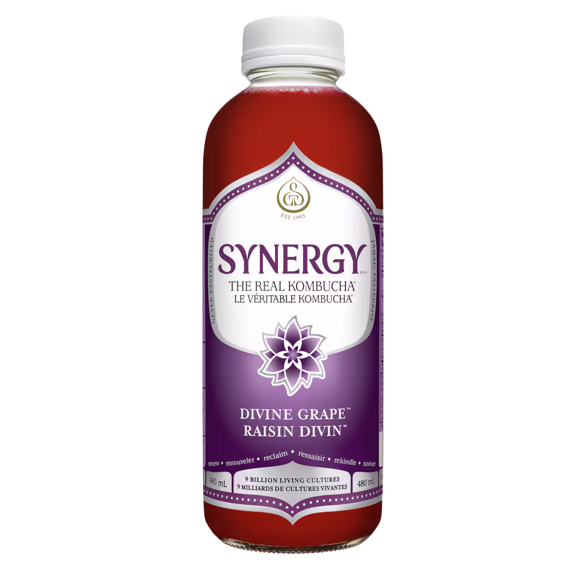 Synergy Boisson au Kombucha Biologique et Cru Raisin Divine
