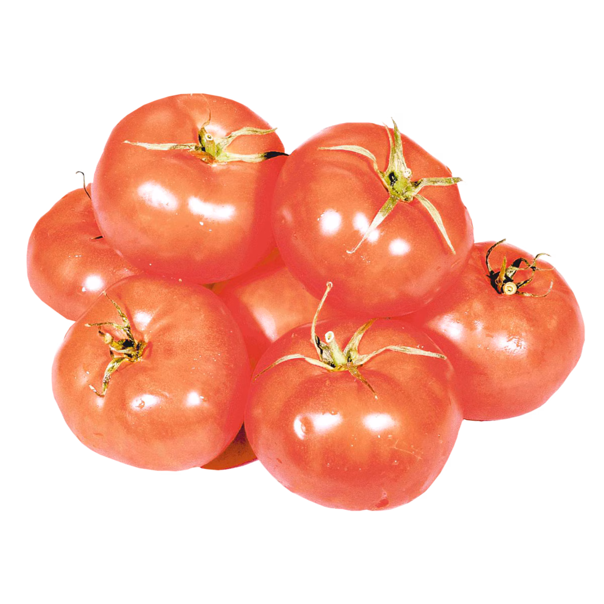 Tomate rouge Savoura
