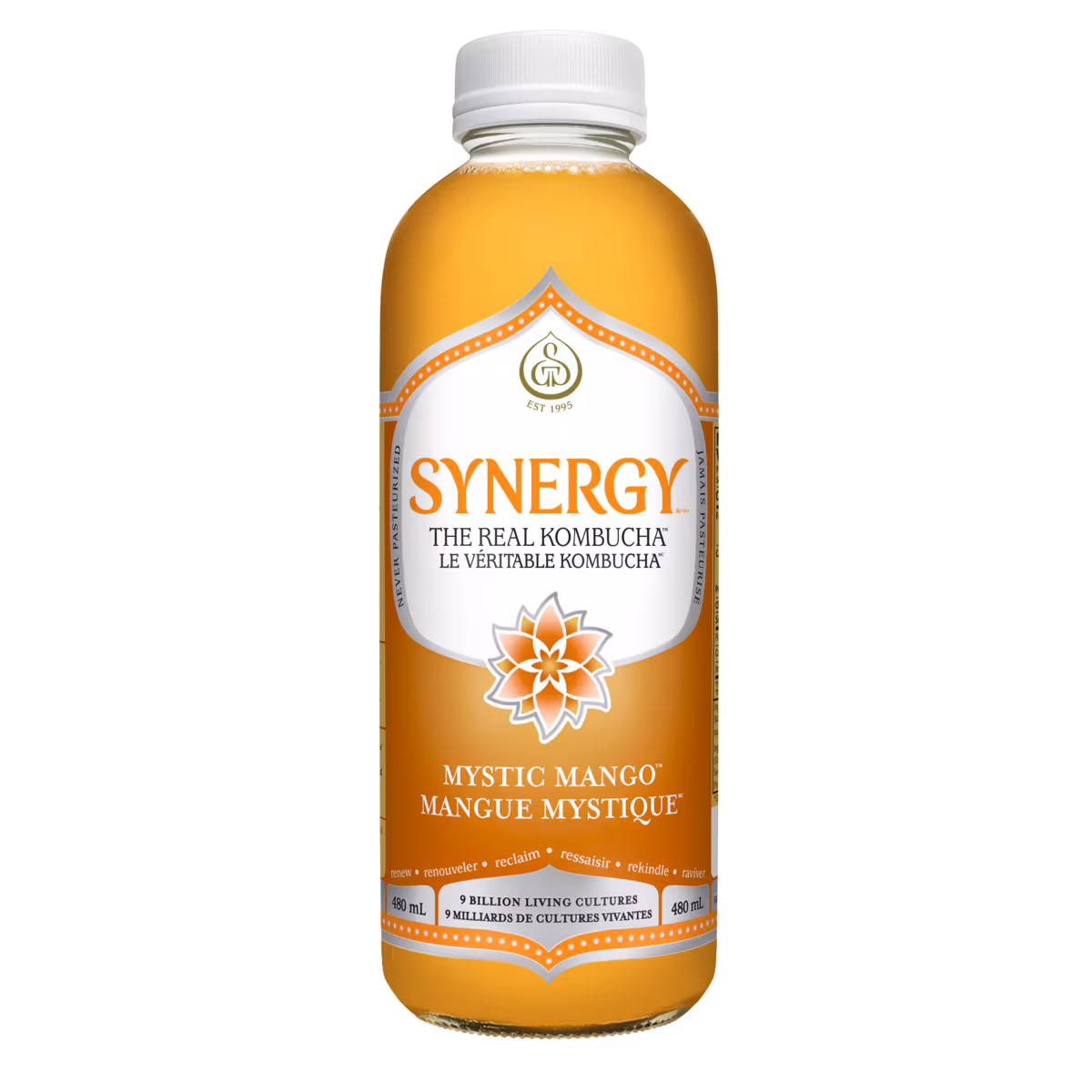 Boisson au Kombucha GT's, Synergy Mangue Mystique