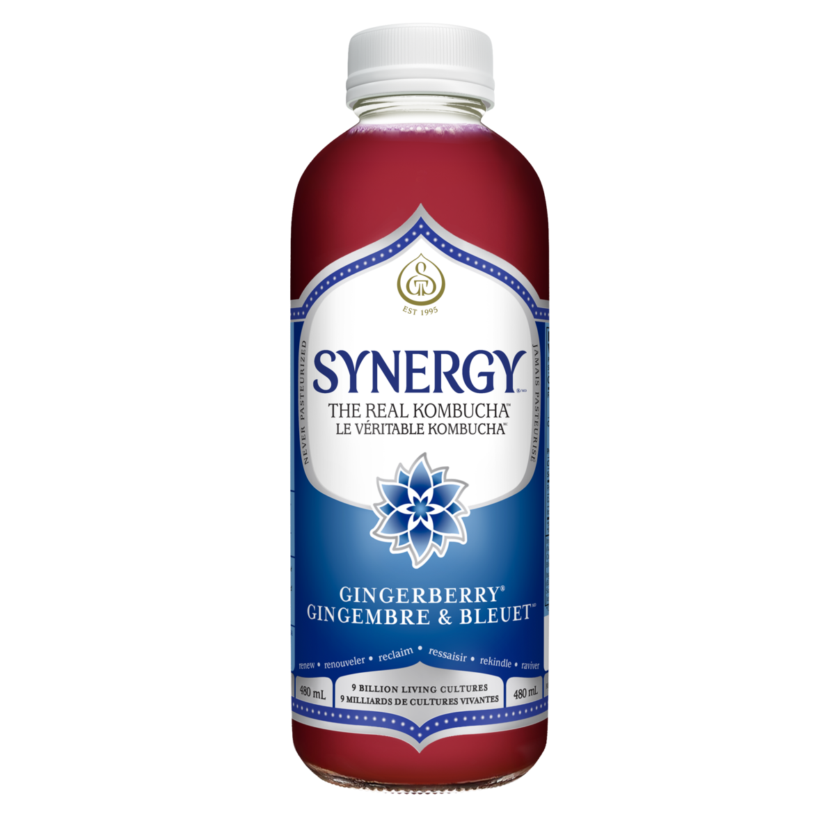 Kombucha, Gingembre et bleuets