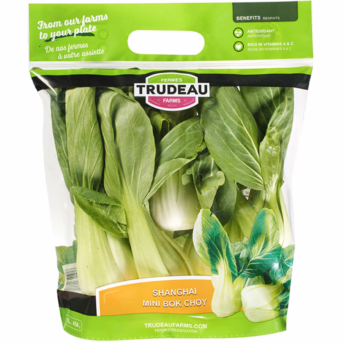 Shanghai Mini Bok Choy