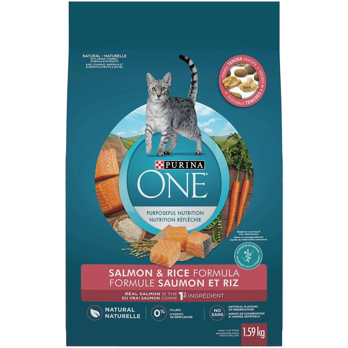 ONE Saumon et Riz, Nourriture Sèche pour Chats