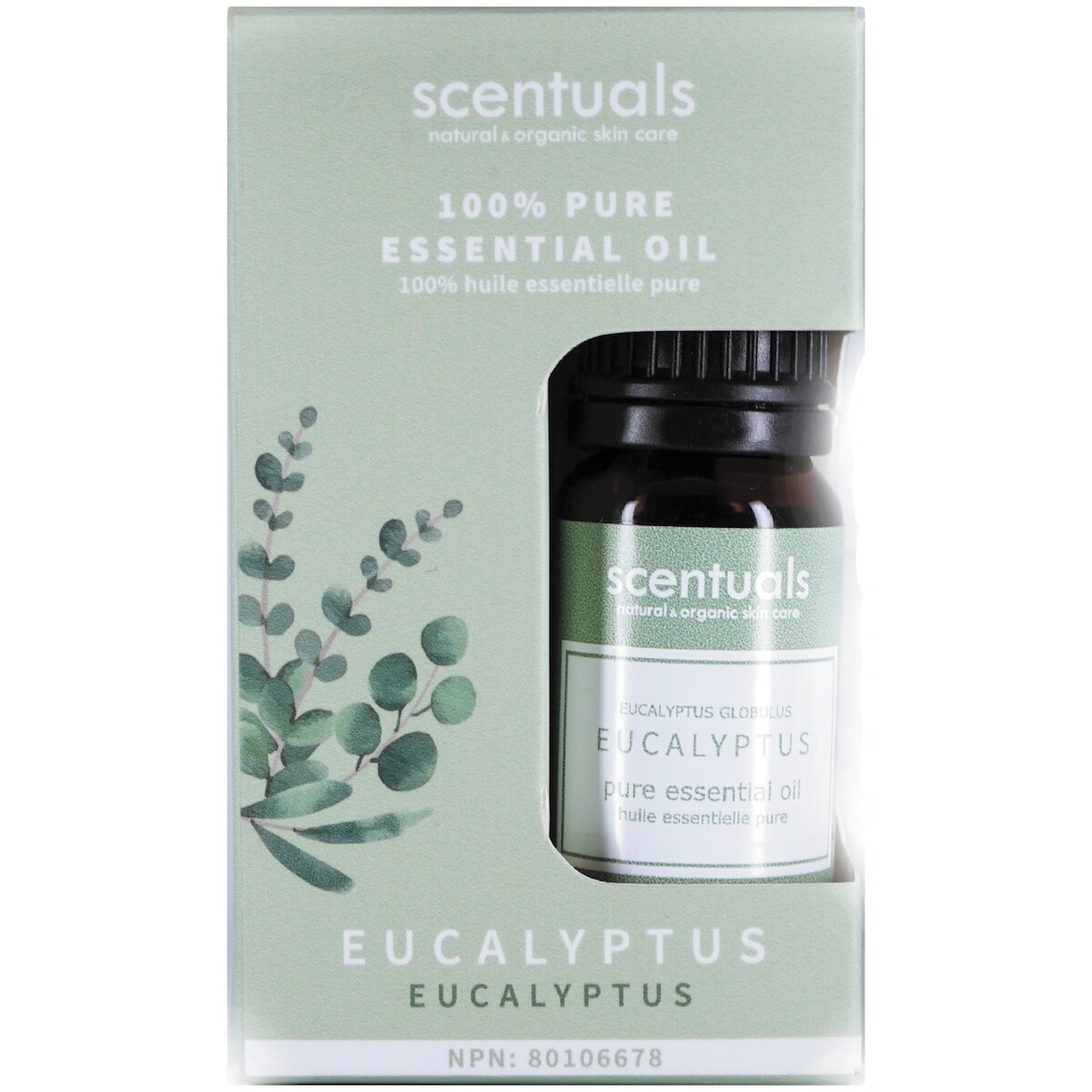 Huile essentielle eucalyptus