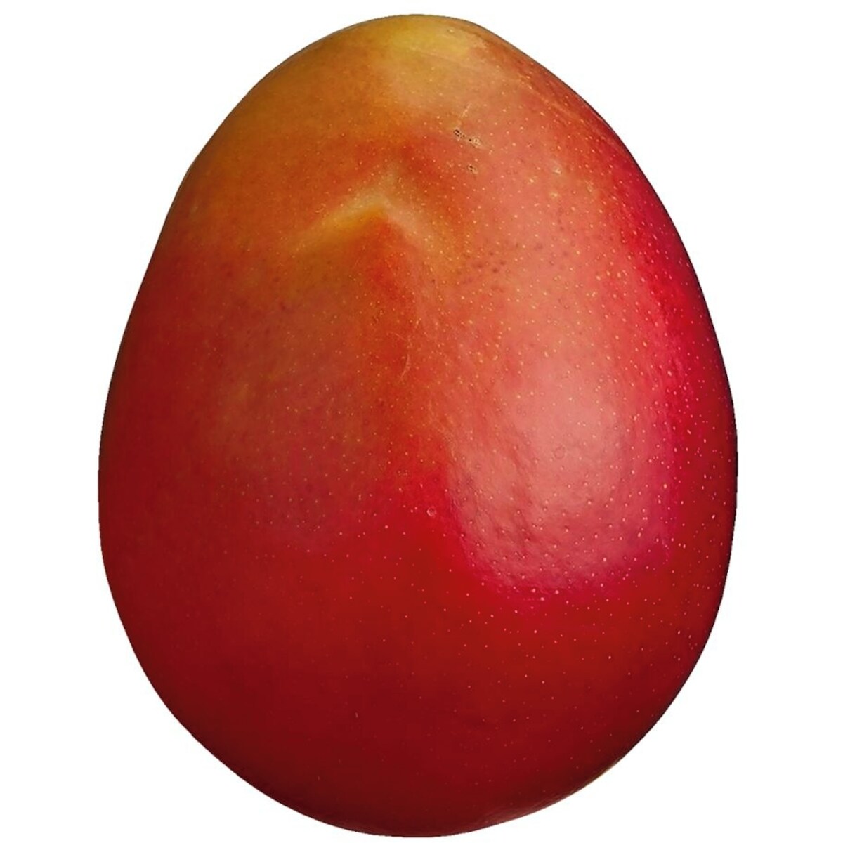 Mangue étoile rouge