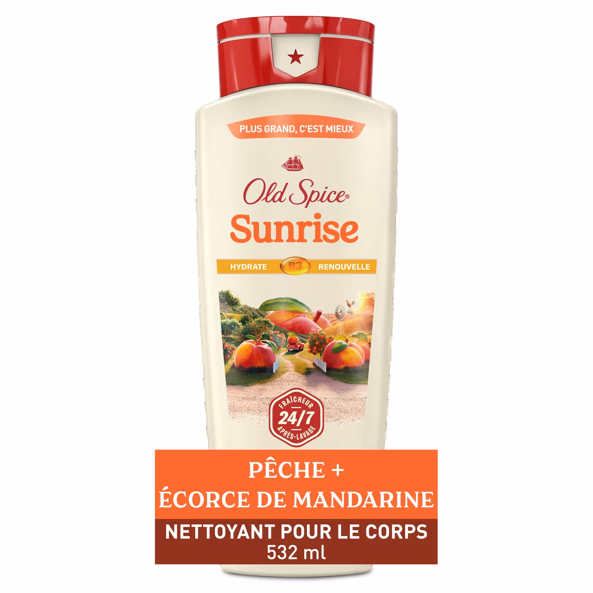 Nettoyant pour le corps pour hommes, parfum Sunrise, fraîcheur après-lavage 24 heures sur 24, 7 jours sur 7, 532 mL (18 oz liq.)