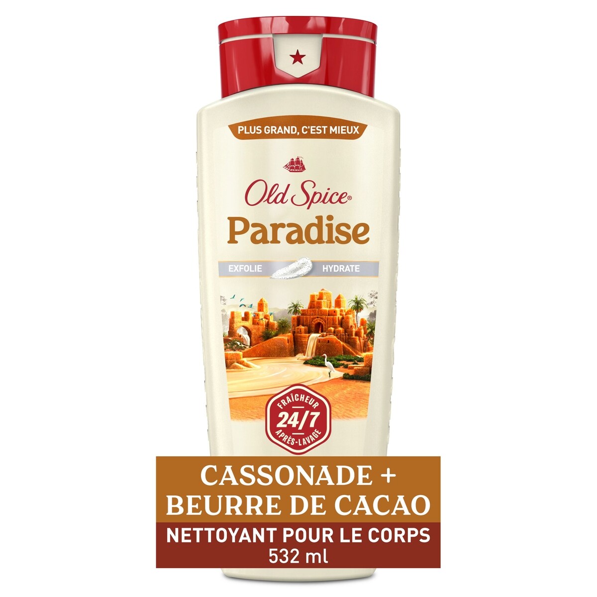 Nettoyant pour le corps pour hommes, parfum Paradise, fraîcheur après-lavage 24 heures sur 24, 7 jours sur 7, 532 mL (18 oz liq.)