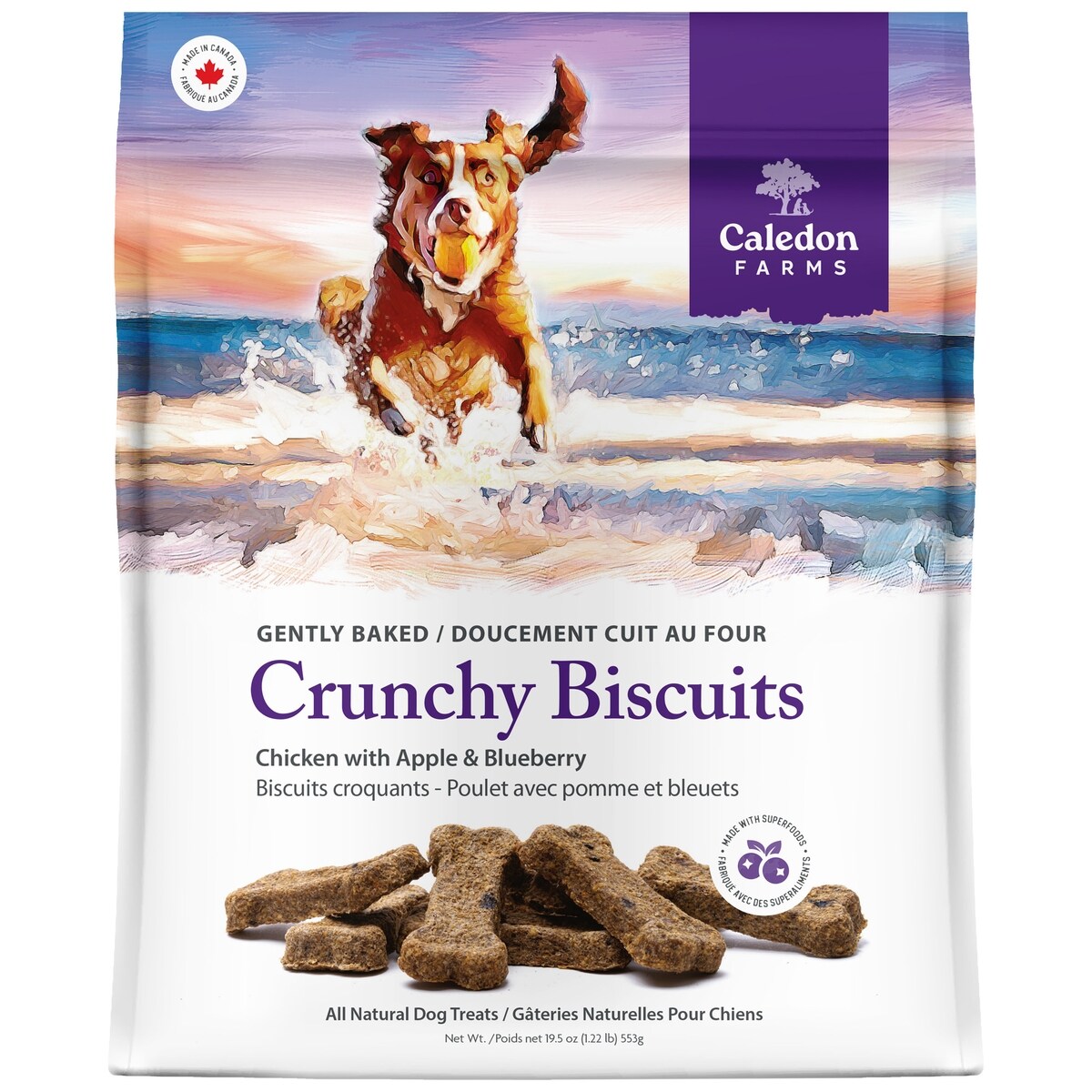 Gâteries pour chiens biscuits croquants poulet avec pommes et bleuets