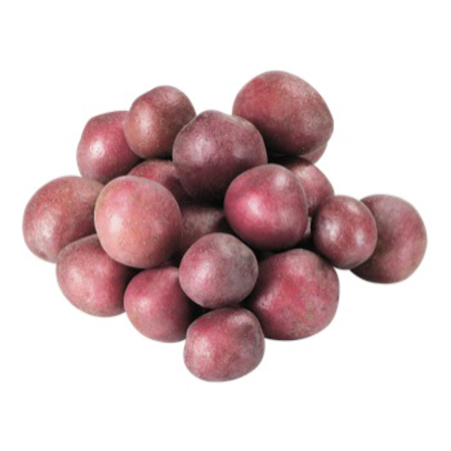 Pommes de terre grelots rouges