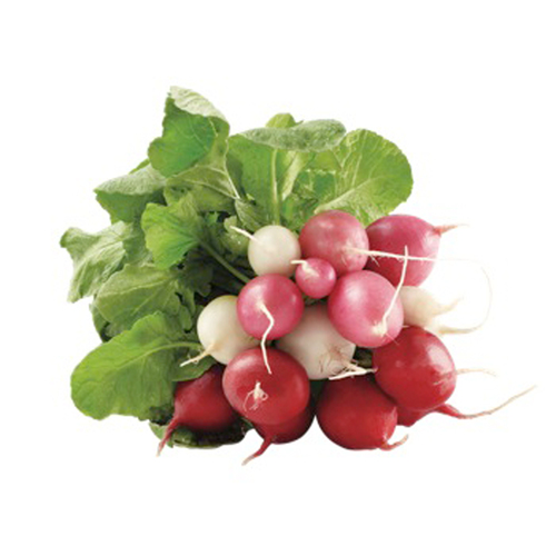 Radis multi couleurs en feuilles 1 un
