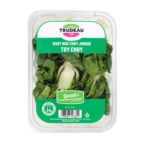 Toy choy bébé