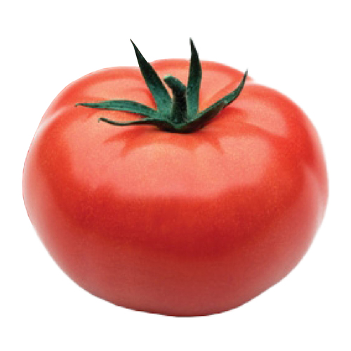 Tomate rouge de serre biologique 2 un