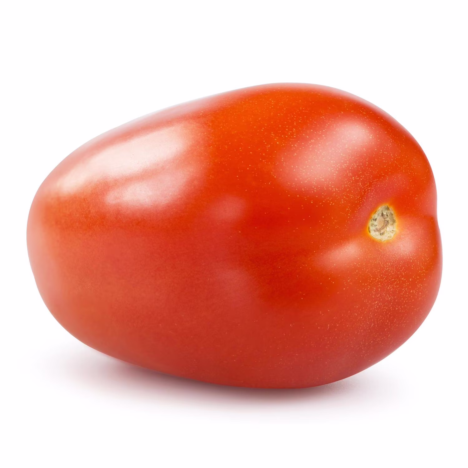 Tomate italienne