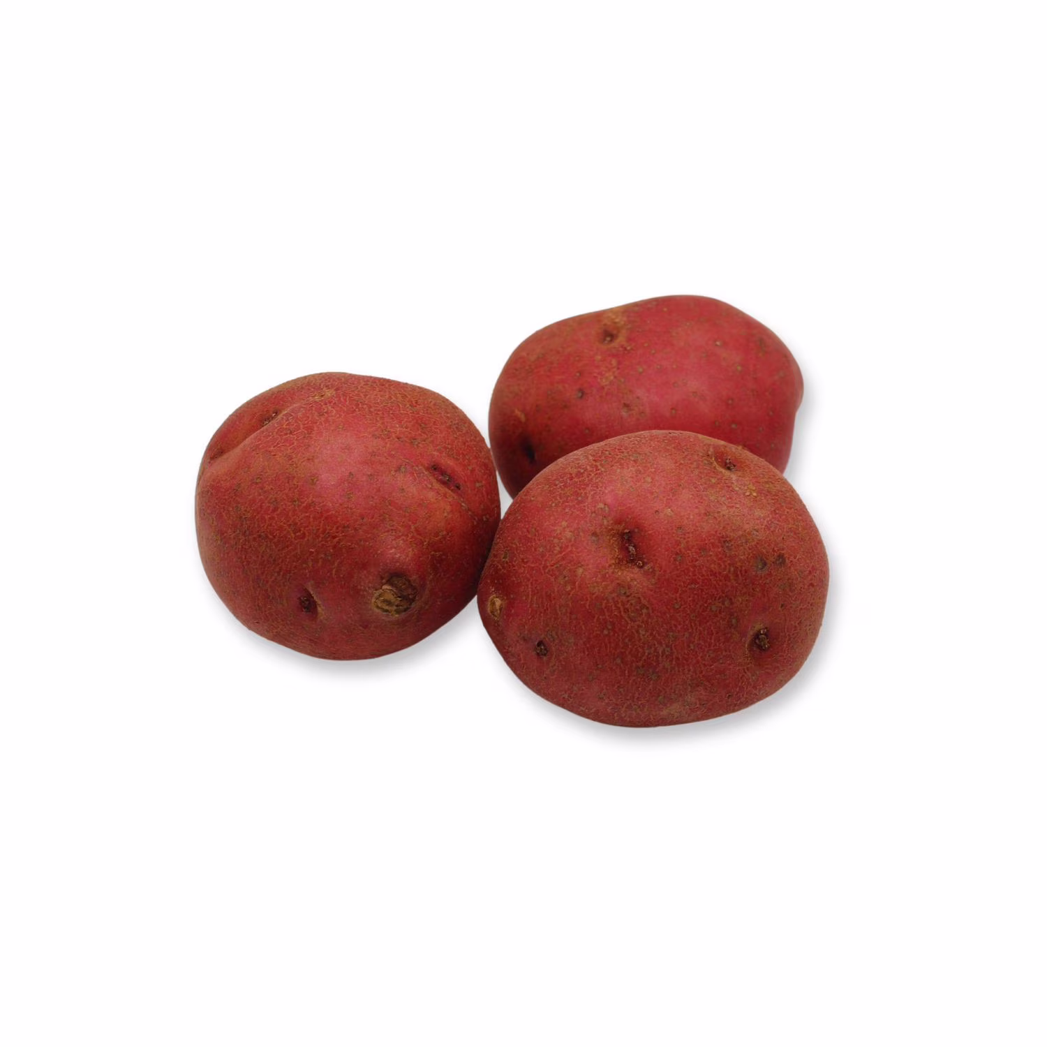 Pomme de terre rouge