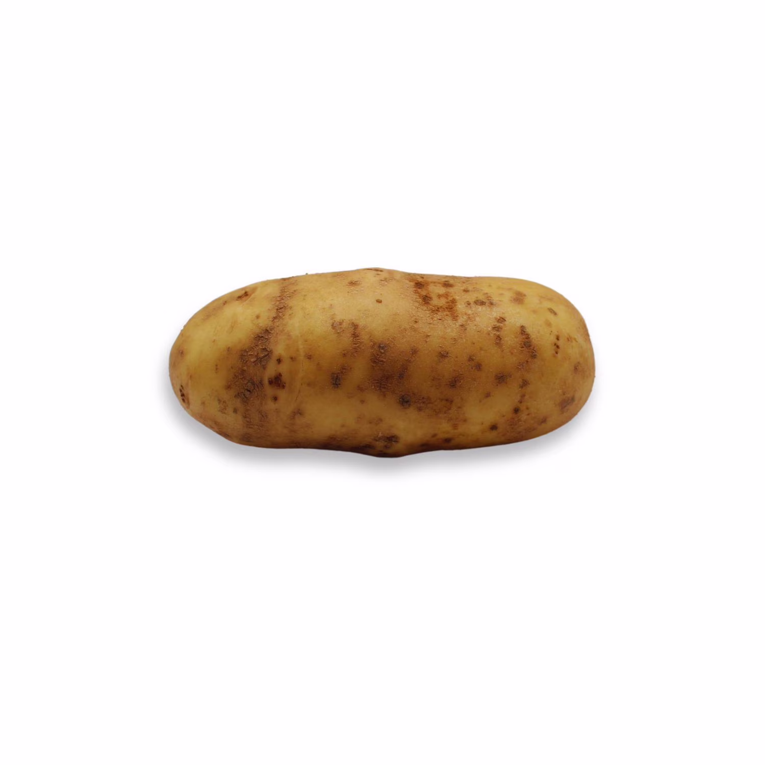 Pomme de terre russet. vendue individuellement. 0.24 - 0.42 kg