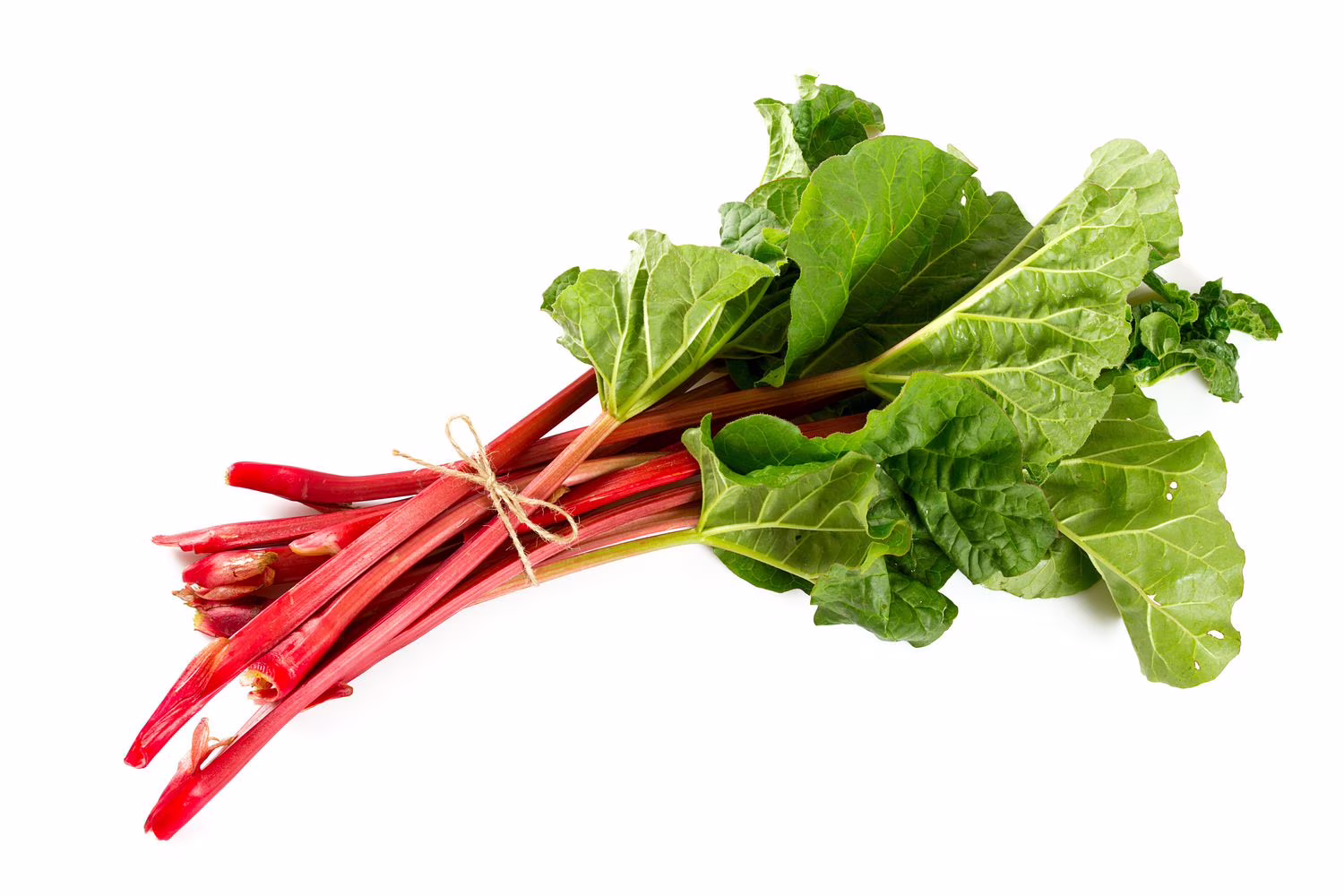 Rhubarbe sac de 12
