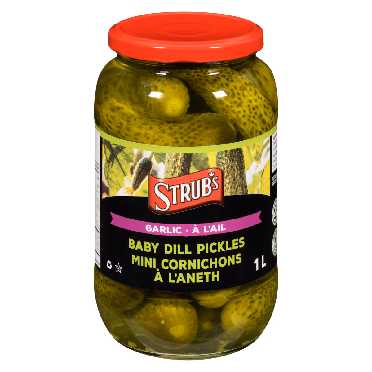 Mini cornichons à l'aneth à l'ail