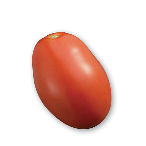 Tomate roma. vendue individuellement. 0.10 - 0.14 kg