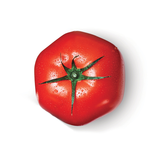 Tomates rouges de serre 1-2 un