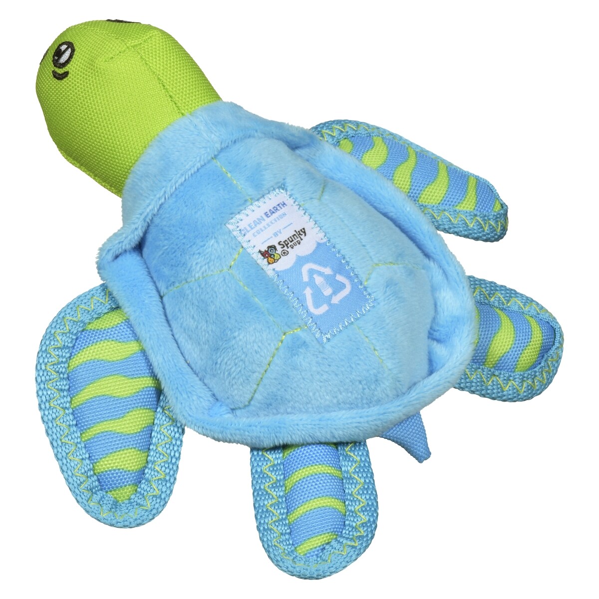 Small turtle