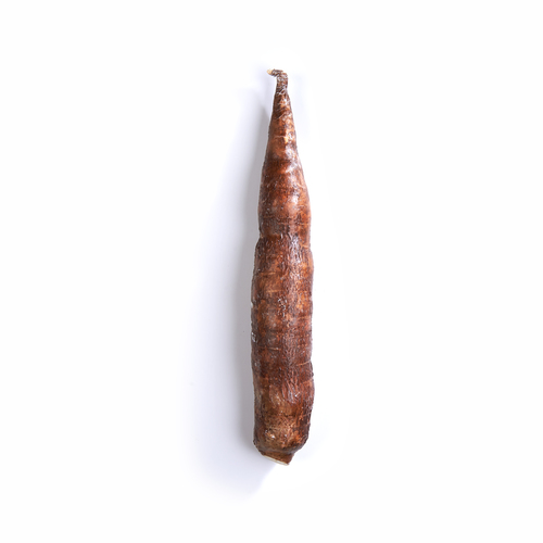 Yucca 1 un