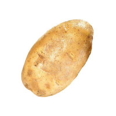 Pomme de terre Russet