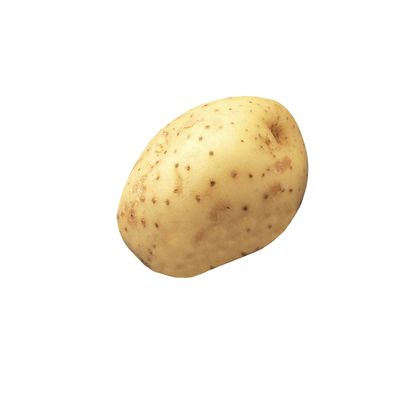 Pommes de terre blanches
