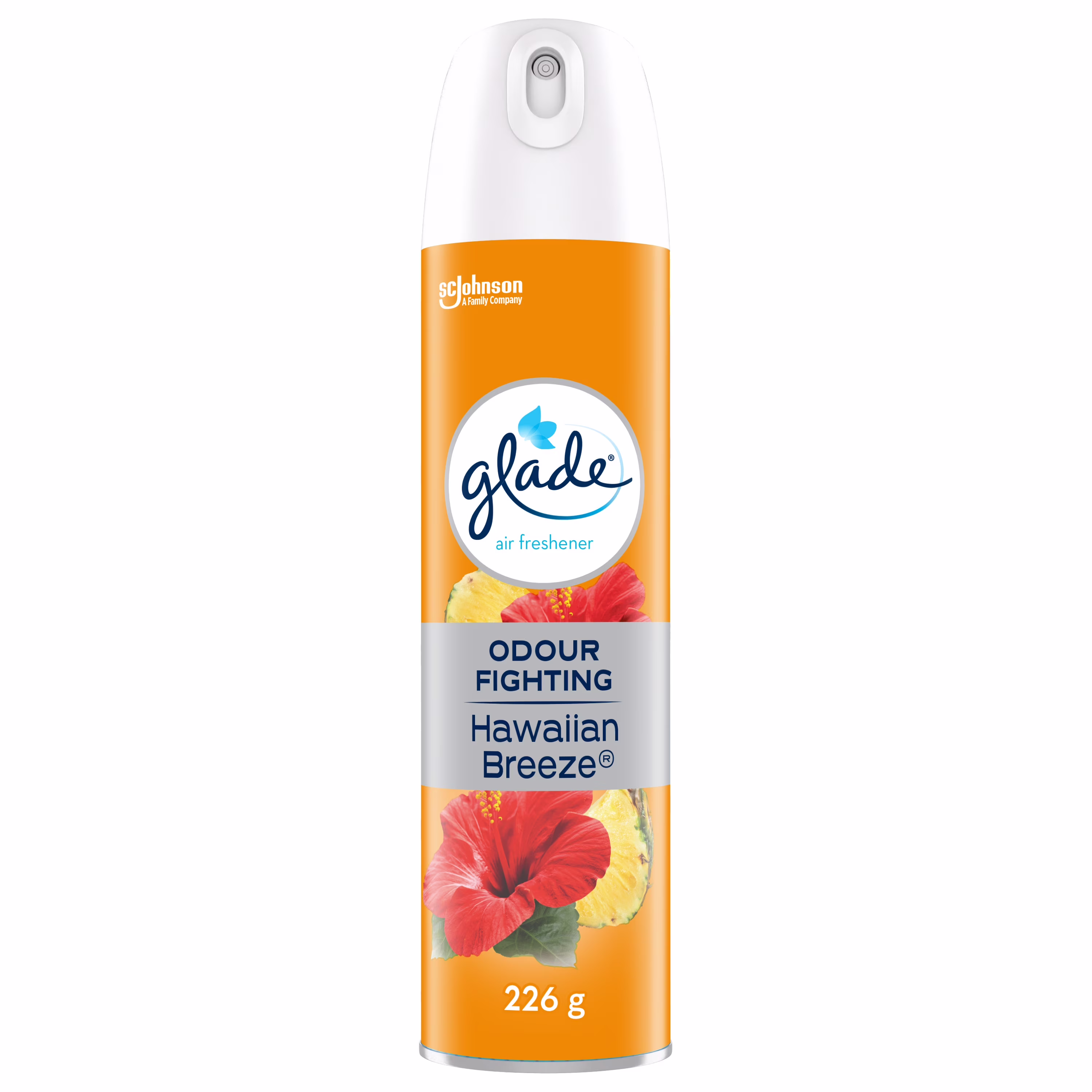 Purificateur en aérosol brise exotique