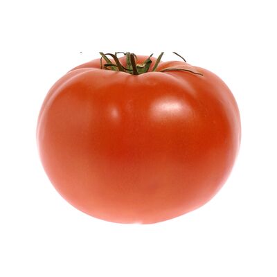 Tomate rouge de serre